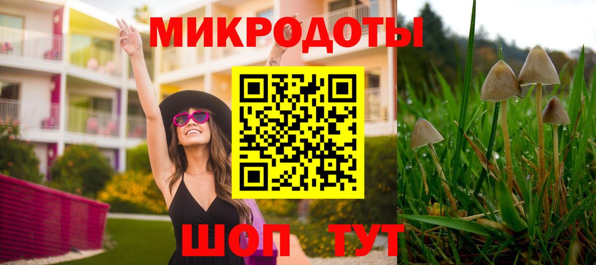 Псилоцибиновые грибы мицелий Чебаркуль